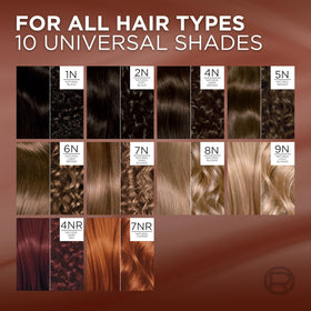 L'Oreal Paris application in use demonstrating even root-to-tip coverage