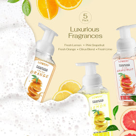 Lovery multi bottle arrangement on a kitchen counter showing convenient placement for daily use