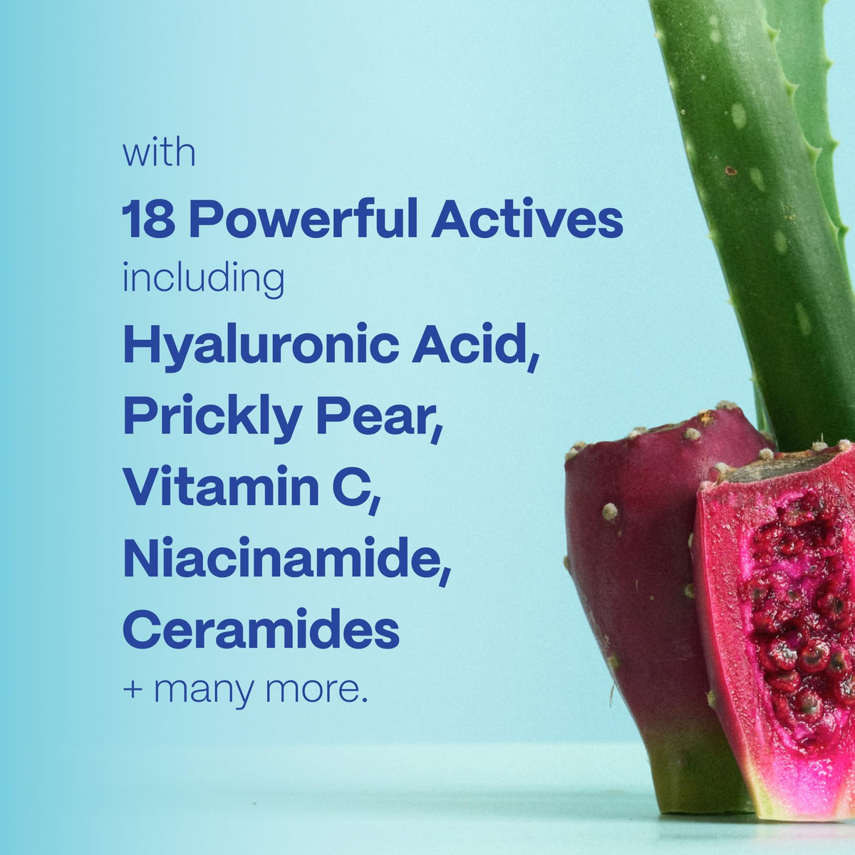 Mad Hippie ingredient flatlay with botanicals highlighting clean, vegan formula