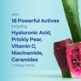 Mad Hippie ingredient flatlay with botanicals highlighting clean, vegan formula