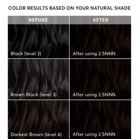Madison Reed kit contents laid out for at-home salon-quality application