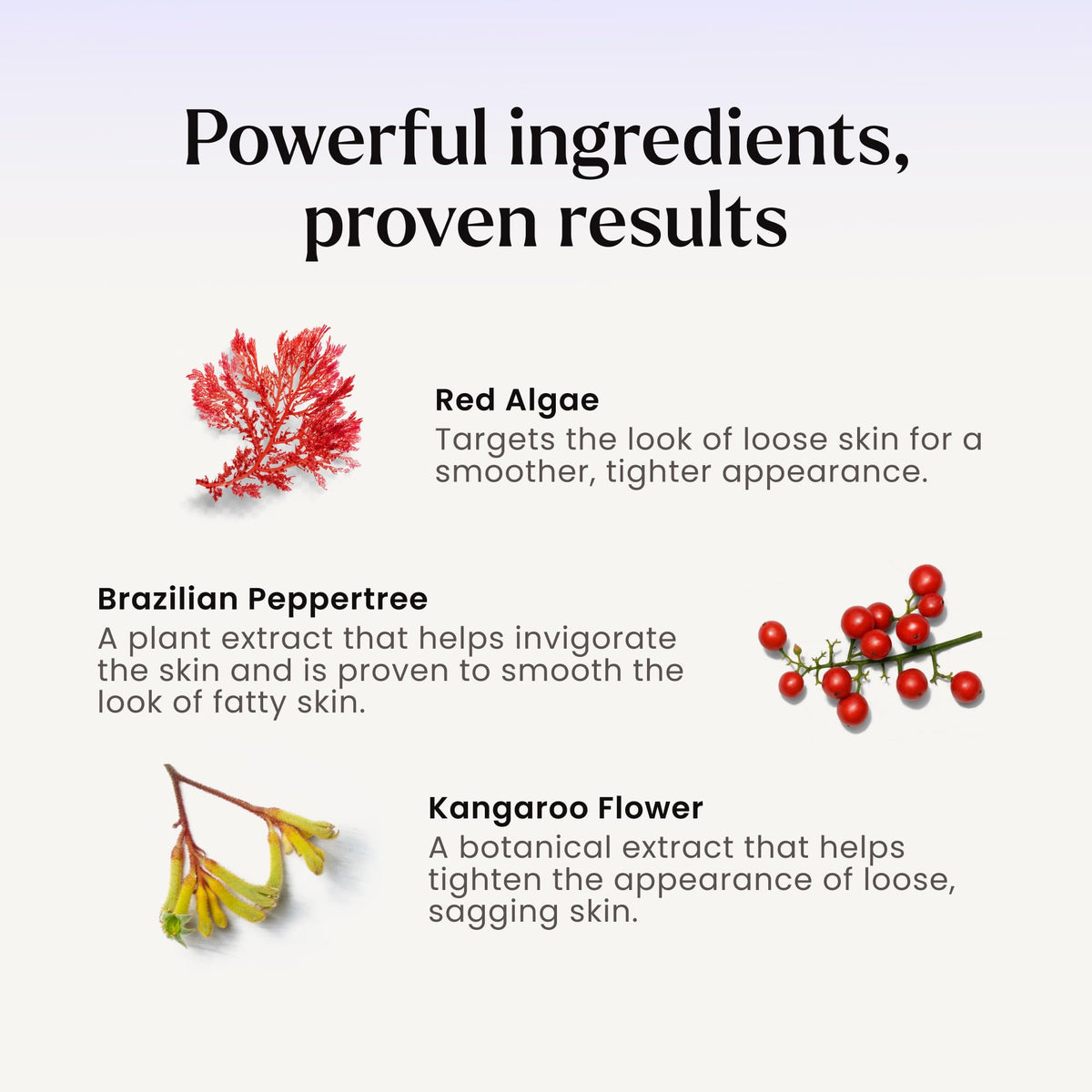 MAËLYS red algae extract detail illustrating natural texture-refining benefit