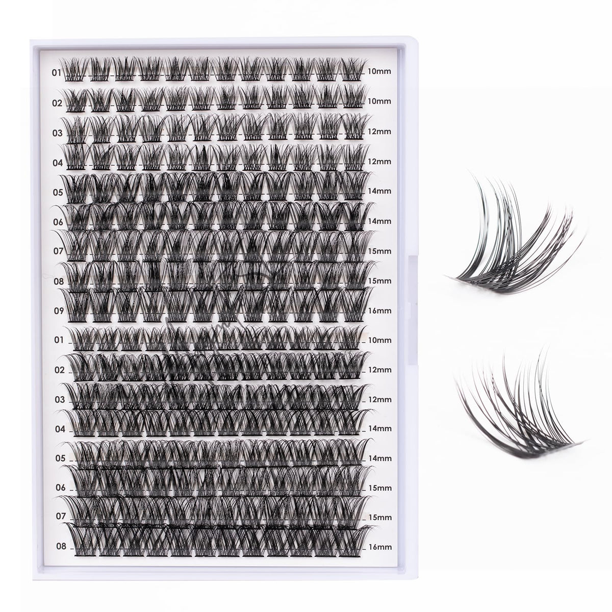 Magnetic SL front tray showing 204 mixed-length cluster lashes for versatile styling
