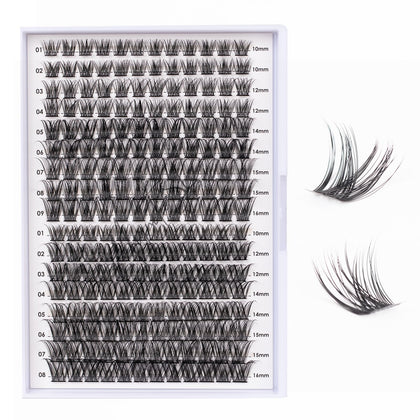 Magnetic SL front tray showing 204 mixed-length cluster lashes for versatile styling