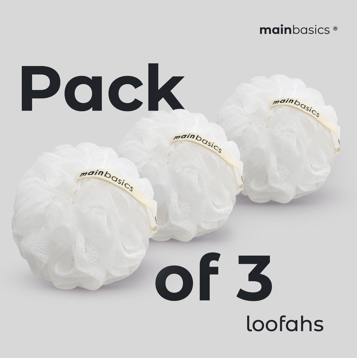 MainBasics loofah styled in a bathroom conveying tidy, modern everyday use