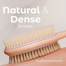MainBasics dual-sided bristles showing soft nylon and firm natural bristles for exfoliation