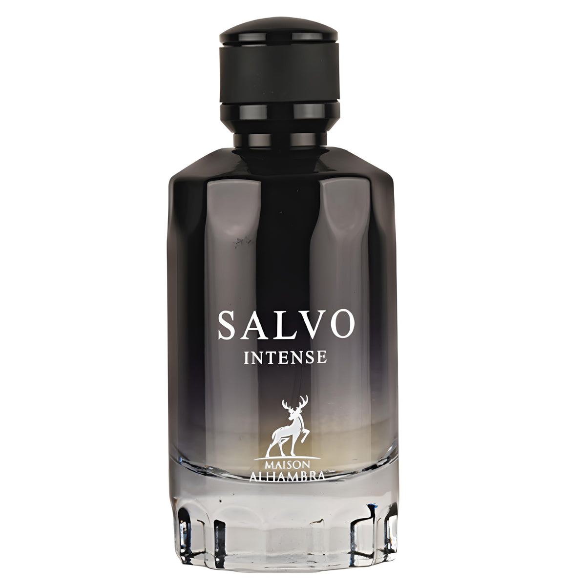 Maison Alhambra Salvo Intense front bottle showing elegant packaging and instant recognition benefit