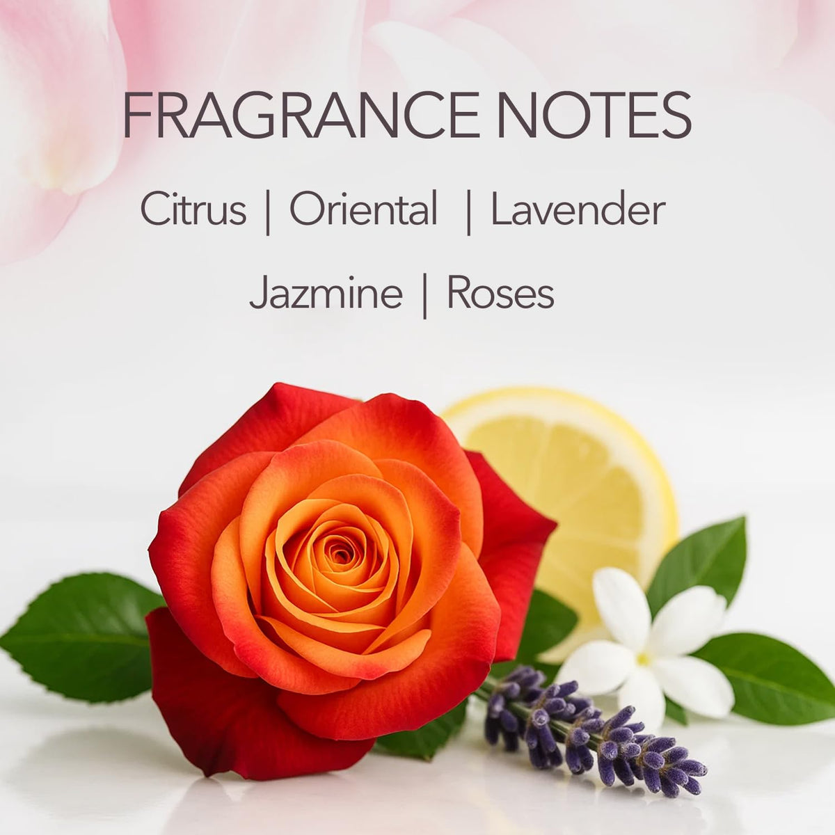 Maja creamy lather texture on palm demonstrating gentle cleansing