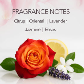 Maja creamy lather texture on palm demonstrating gentle cleansing