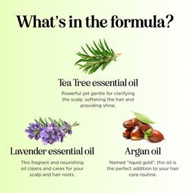 Maple Holistics being applied to scalp demonstrating soothing action