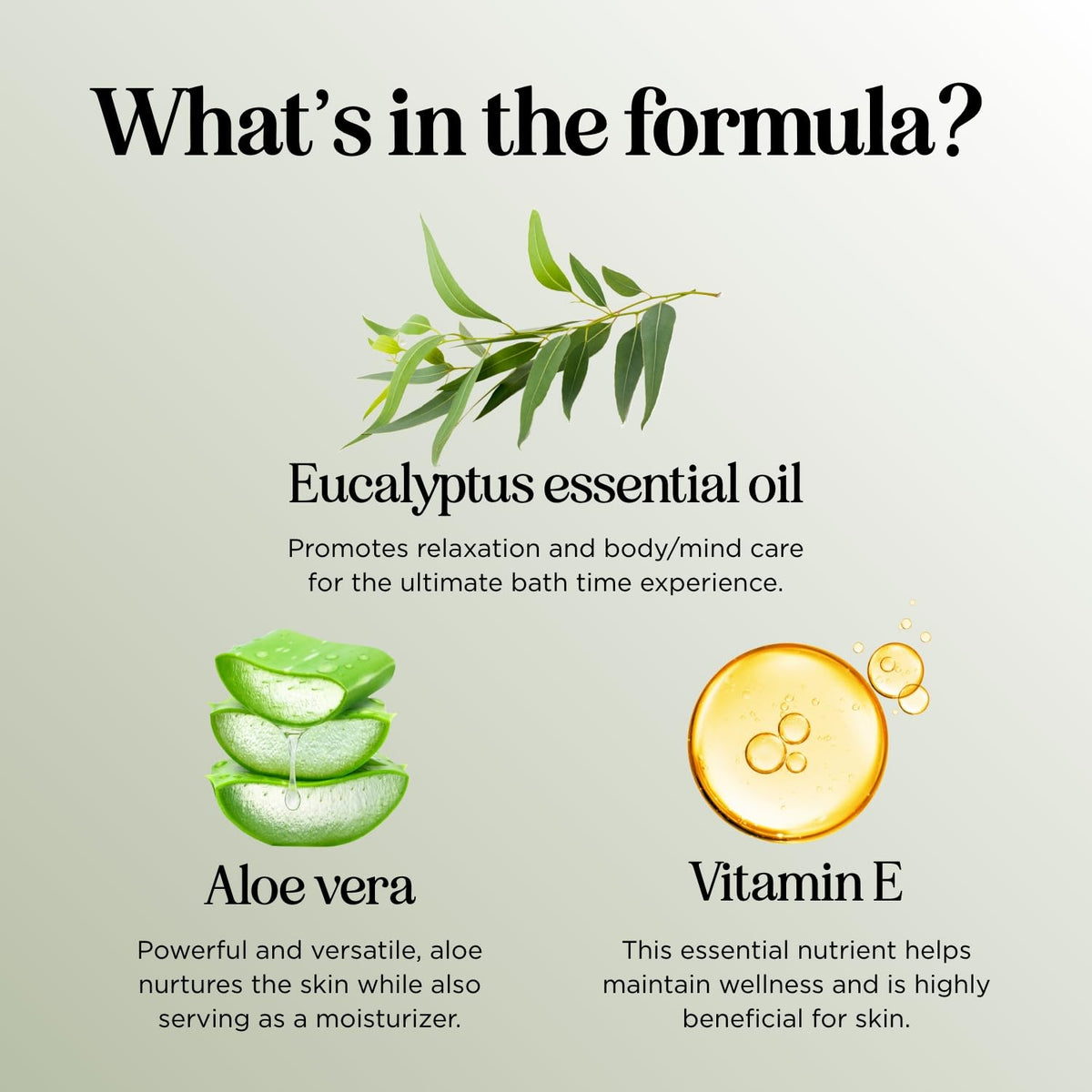 Maple Holistics key botanical ingredients flatlay highlighting natural formulation