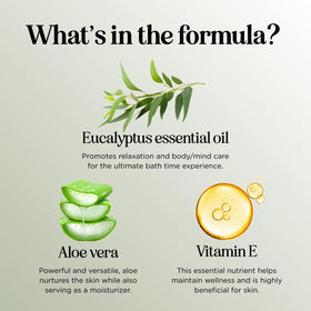 Maple Holistics key botanical ingredients flatlay highlighting natural formulation