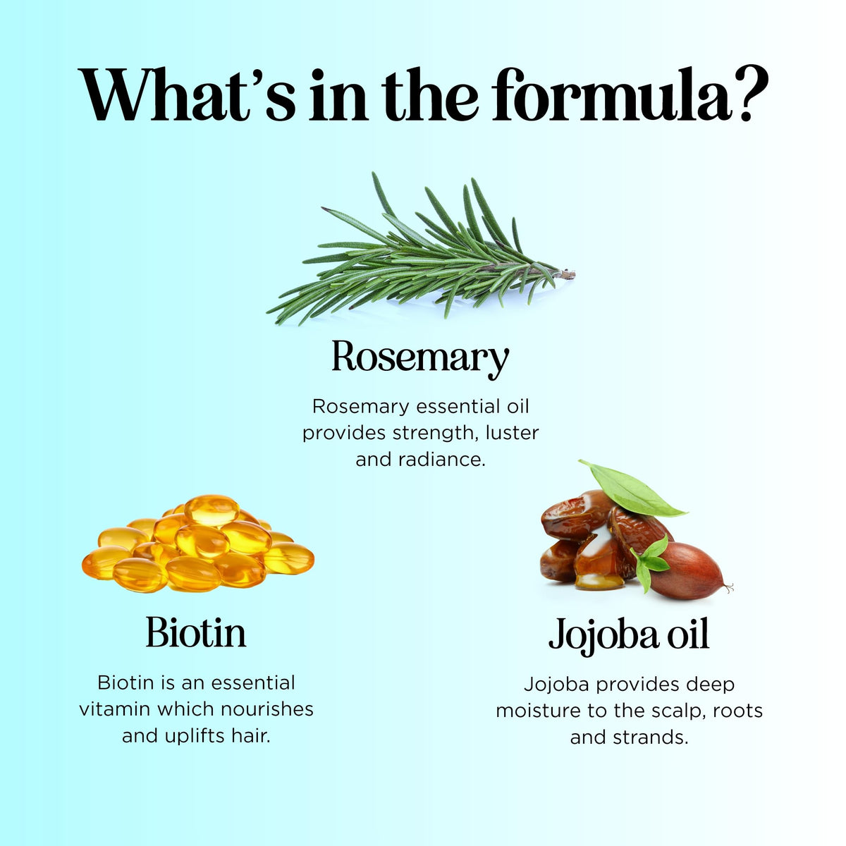 Maple Holistics ingredients label closeup listing botanical extracts and vitamins
