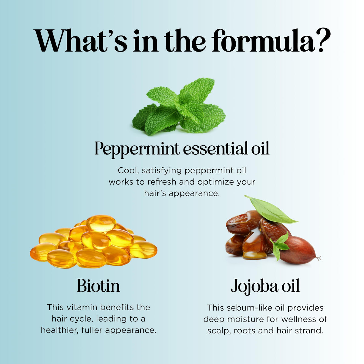 Maple Holistics oil trio flatlay of argan coconut and olive oils for nourish without weight