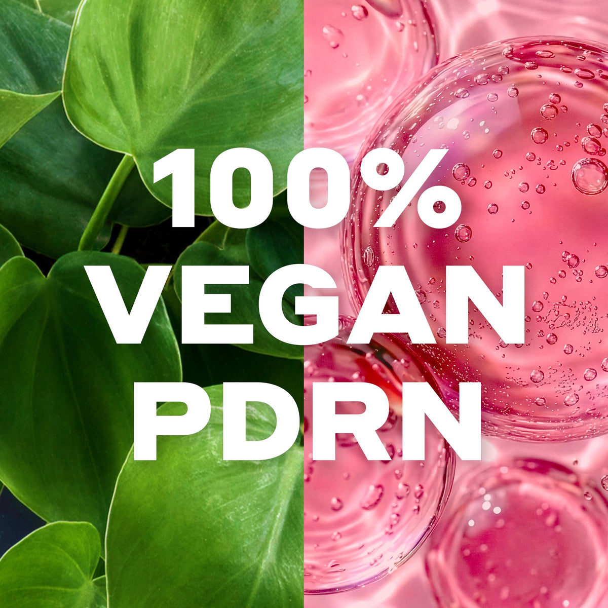 Mario Badescu ingredient concept with heartleaf plant DNA highlighting vegan PDRN benefit