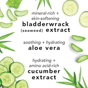 Mario Badescu label ingredients detail highlighting key botanicals for informed shoppers
