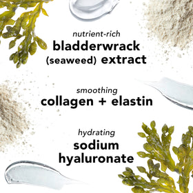 Mario Badescu bladderwrack ingredient close-up highlighting mineral nourishment