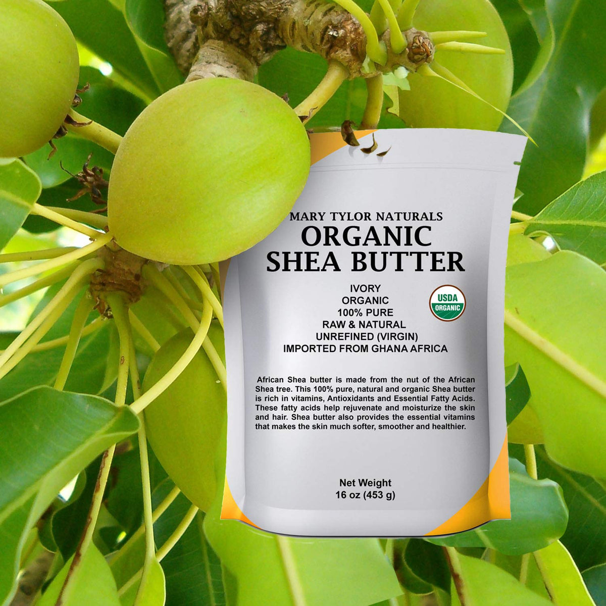 Mary Tylor Naturals close-up of ivory shea butter texture, demonstrates creamy spreadability