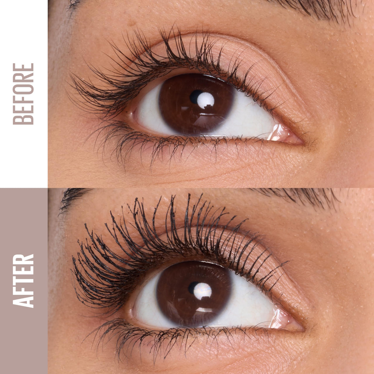Maybelline close-up of Body Curve Brush bristles for precise lifting