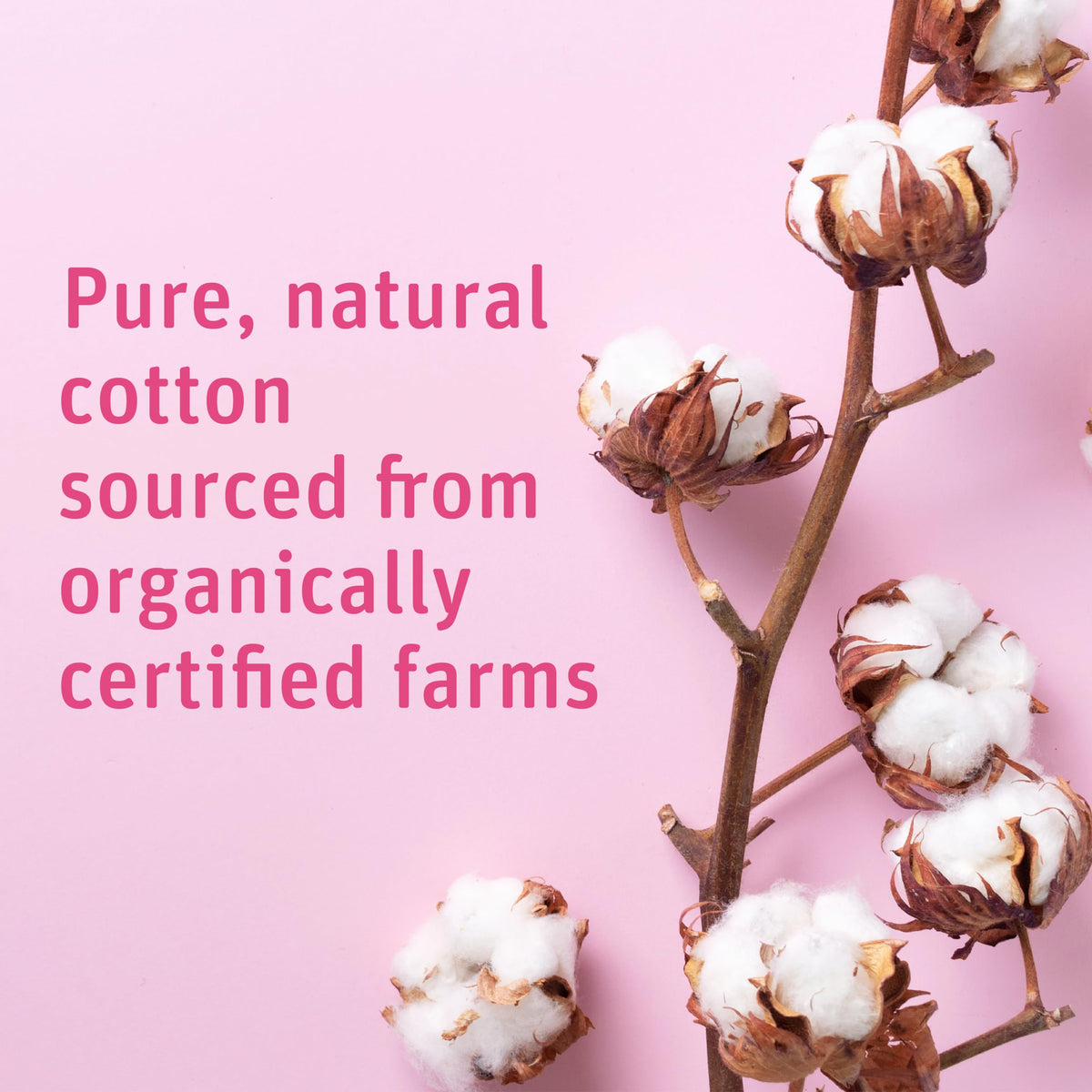 Medline close-up of cotton ball texture showing soft, lint-free surface