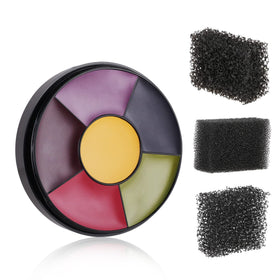 MEICOLY front palette showing six bruise-color pans and compact case benefit realistic effects