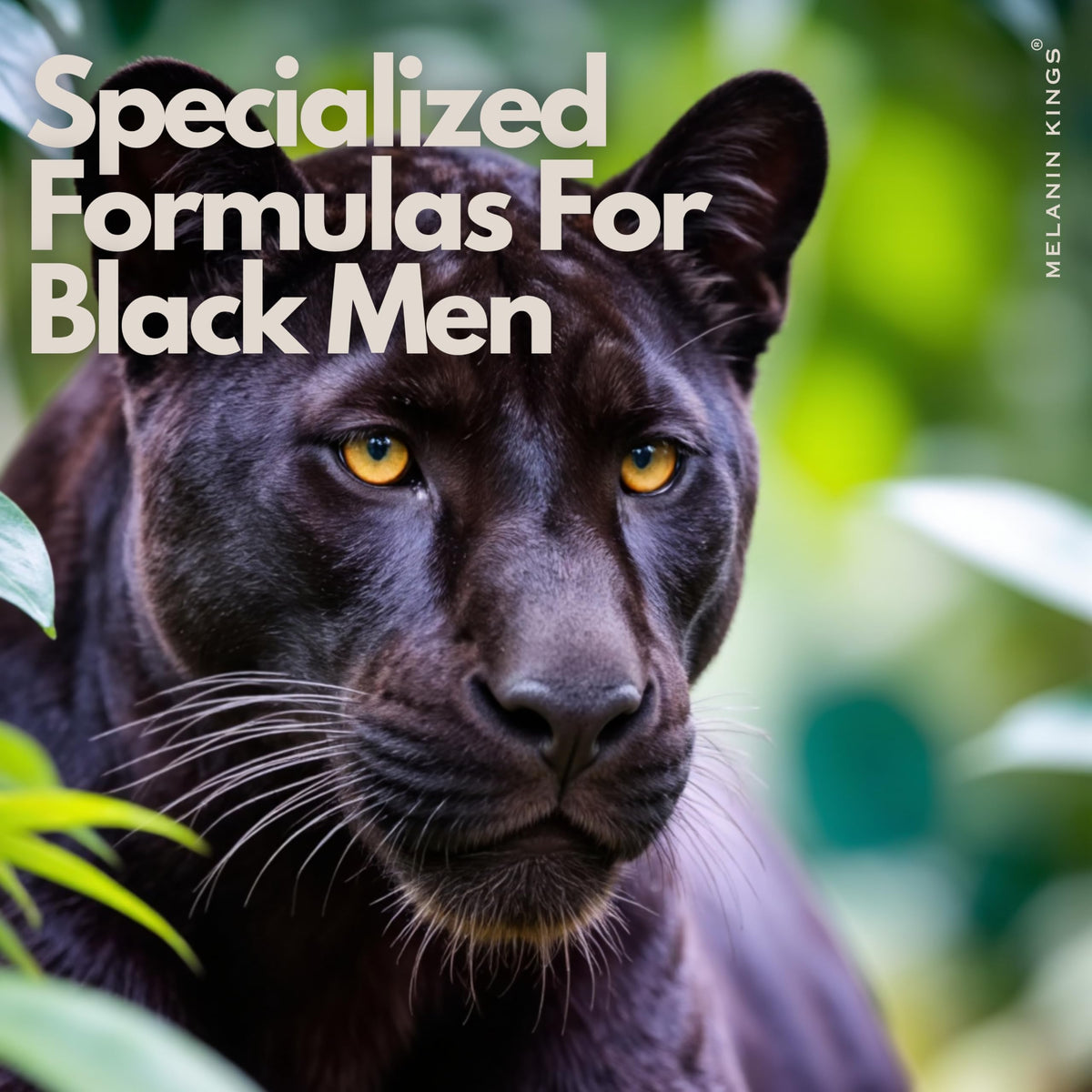 Melanin Kings African oils display with baobab marula argan jojoba — nutrient-rich hydration
