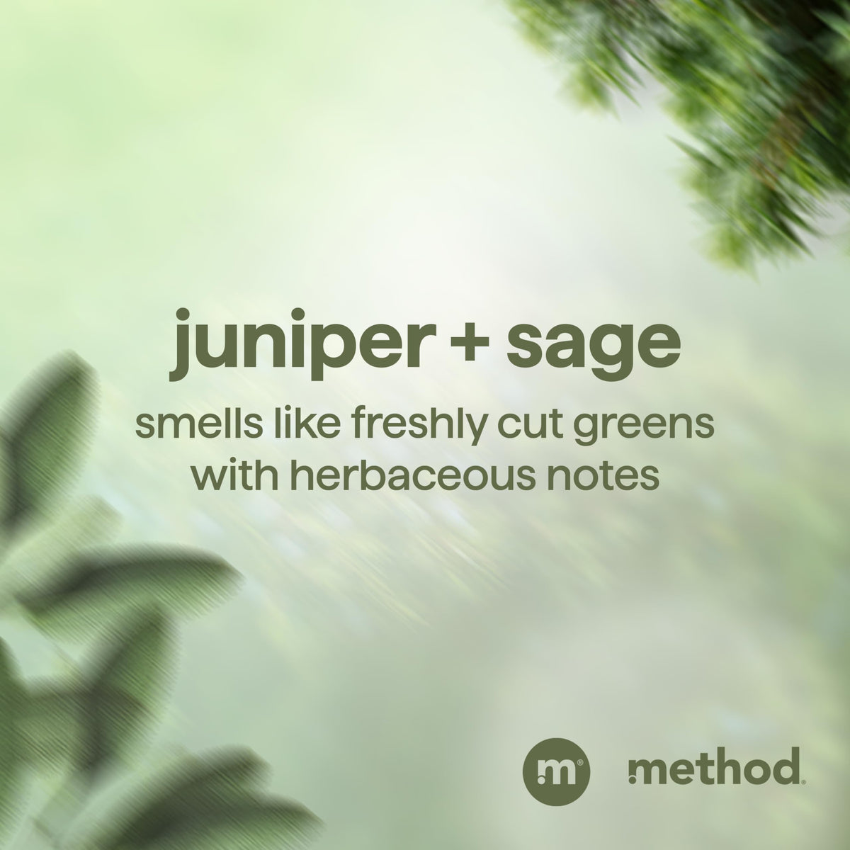 Method back label ingredients panel highlighting clean formula benefits