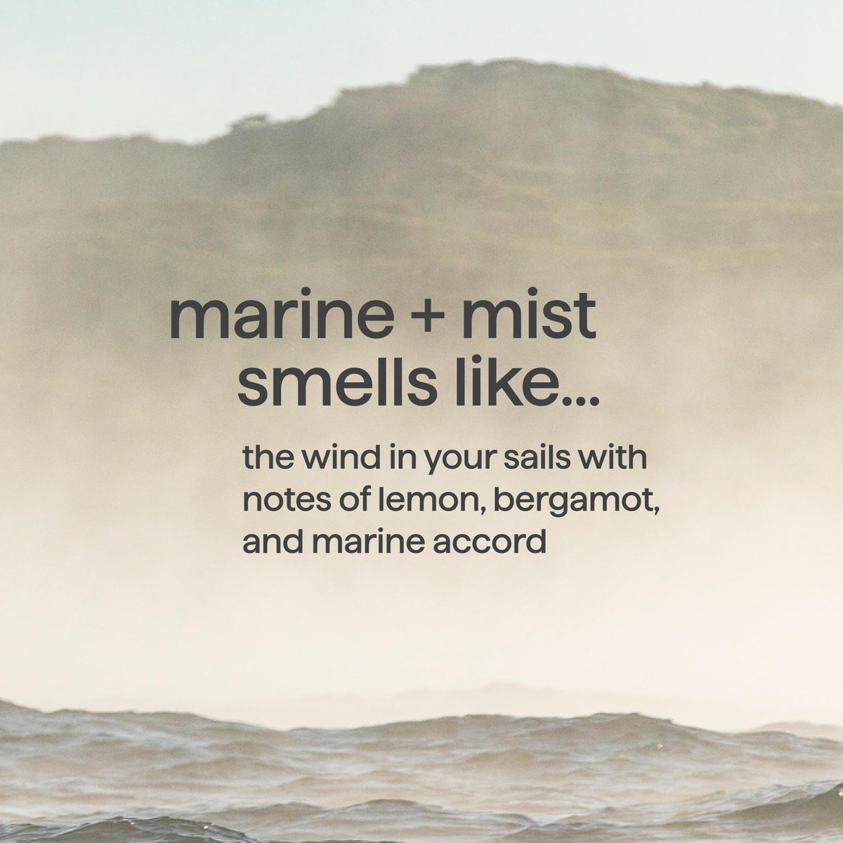 Method Marine + Mist gel texture close-up showing smooth lather, demonstrates fast-foaming performance