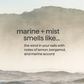 Method Marine + Mist gel texture close-up showing smooth lather, demonstrates fast-foaming performance