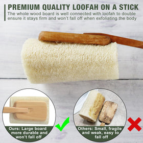 METLUCK close-up of natural loofah fibers showing exfoliating texture benefit