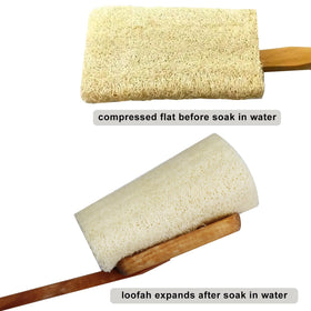 METLUCK two expanded loofah heads laid flat demonstrating ready-to-use condition