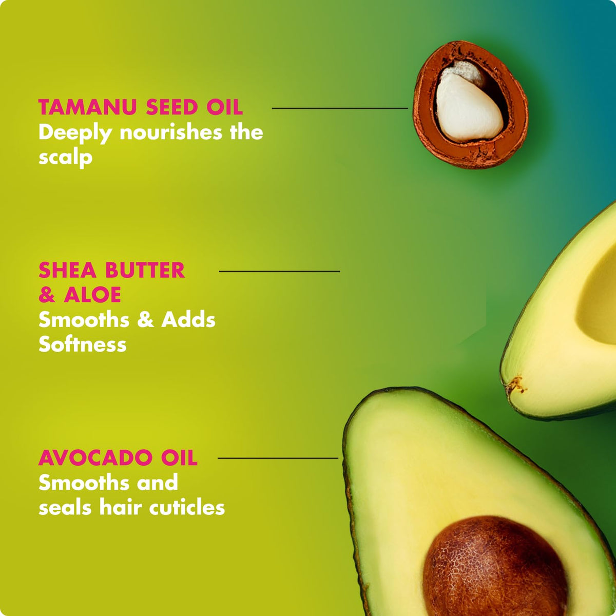 Mielle Organics avocado and tamanu oil visual highlighting nourishing ingredients