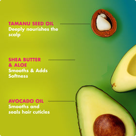 Mielle Organics avocado and tamanu oil visual highlighting nourishing ingredients