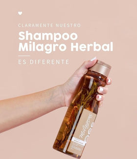Milagros shampoo close-up with rosemary and ginger pieces improving scalp contact
