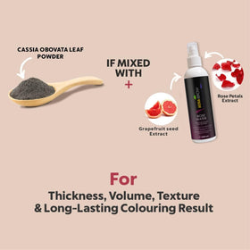 MinaiBrow brush applying tint demonstrating precise brow shaping