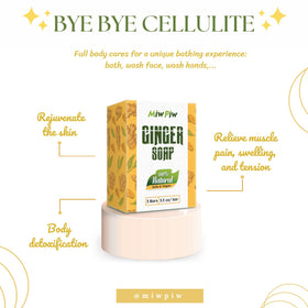 Miw Piw ginger and turmeric ingredients display supporting circulation benefit