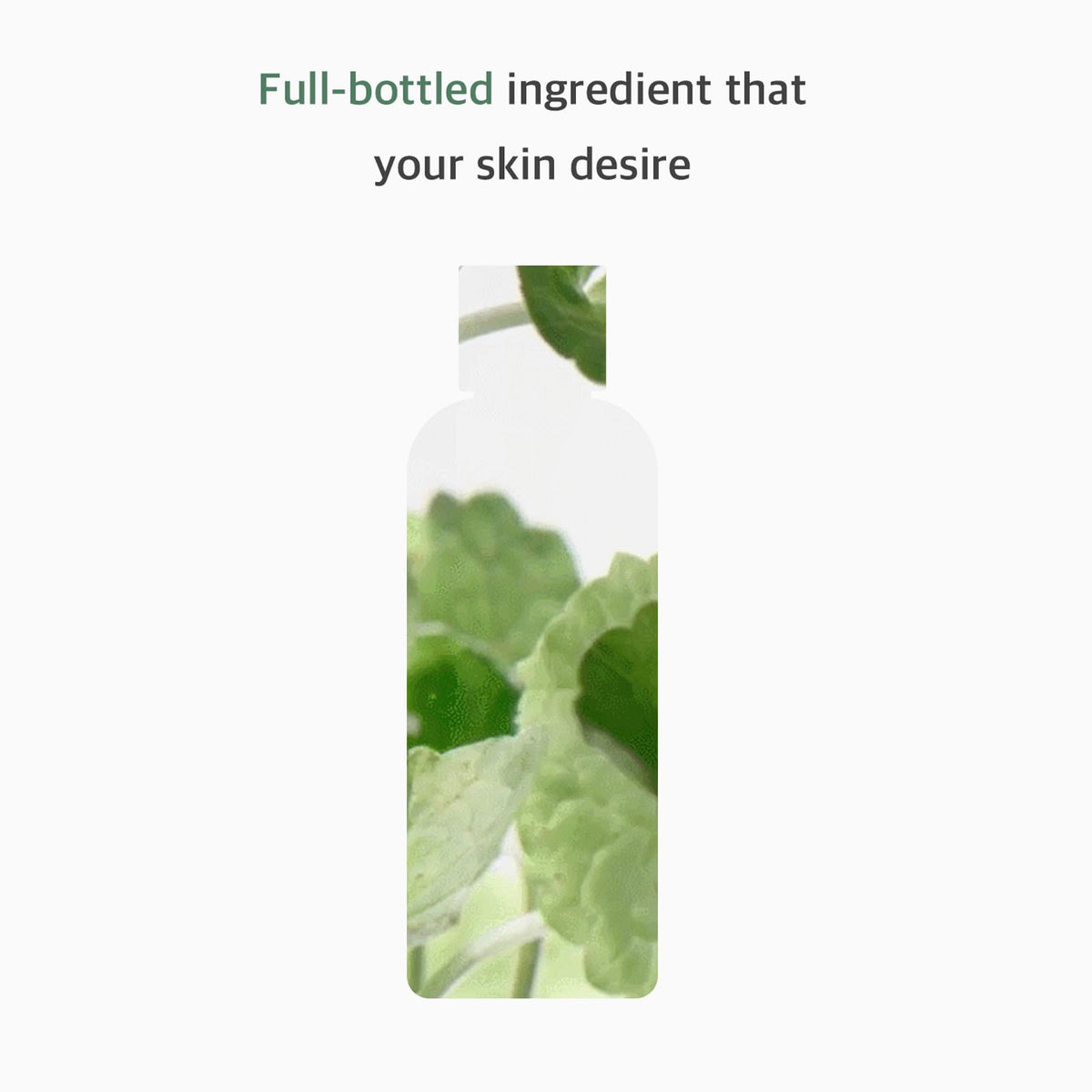 mixsoon toner clear watery texture highlighting fast absorption benefit