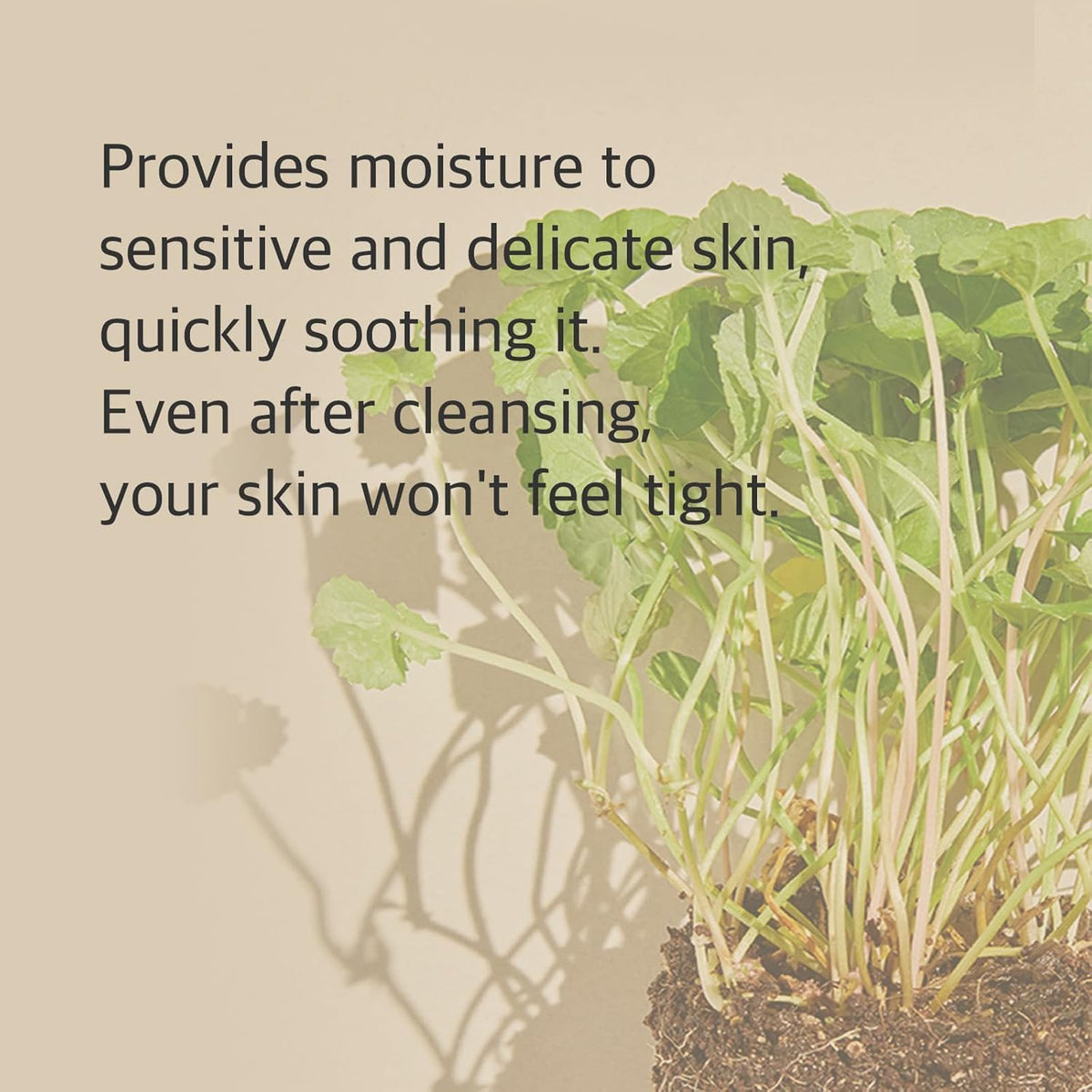mixsoon salicylic acid ingredient detail supporting pore care