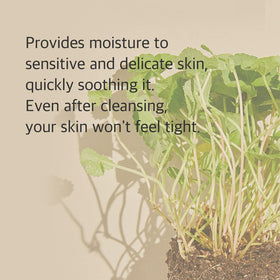 mixsoon salicylic acid ingredient detail supporting pore care