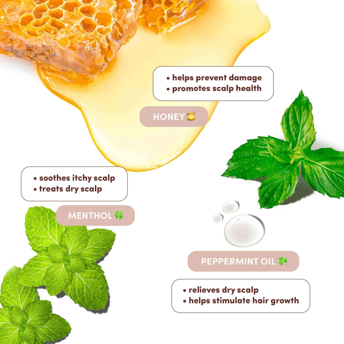Mizani label close up highlighting key ingredients and product purpose