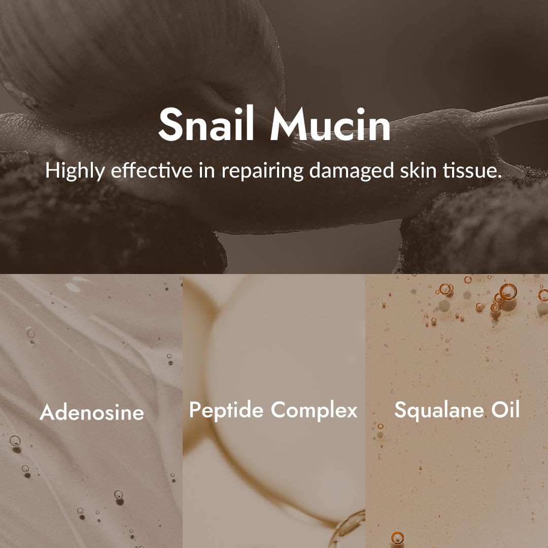 MIZON snail mucin ingredient visual highlighting concentrated filtrate for skin support