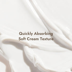 MIZON squalane and meadowfoam seeds image representing moisturizing, non-greasy emollients