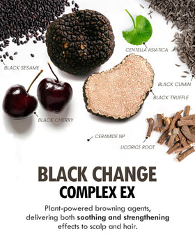 MODA MODA applied to dark hair illustrating gradual darkening effect