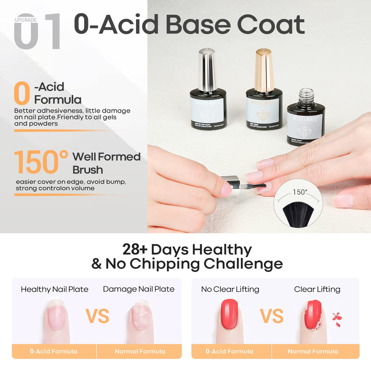 modelones base coat brush close-up demonstrating smooth application and better adhesion