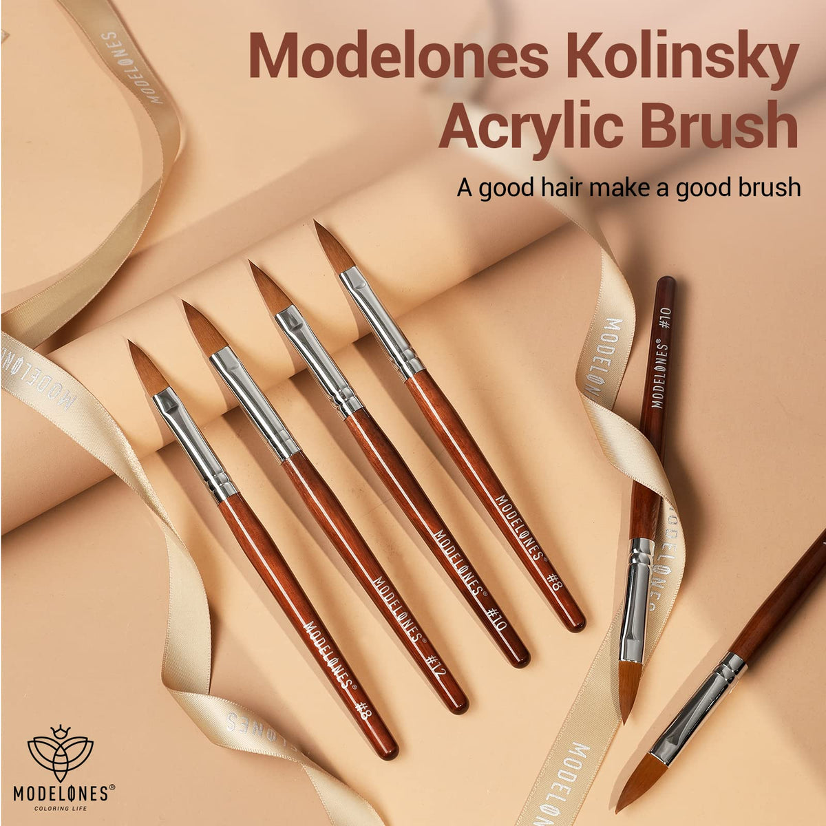modelones size comparison with hands illustrating brush scale and professional suitability
