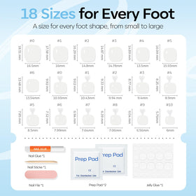 modelones size chart beside toes to show 18 sizes for precise fit