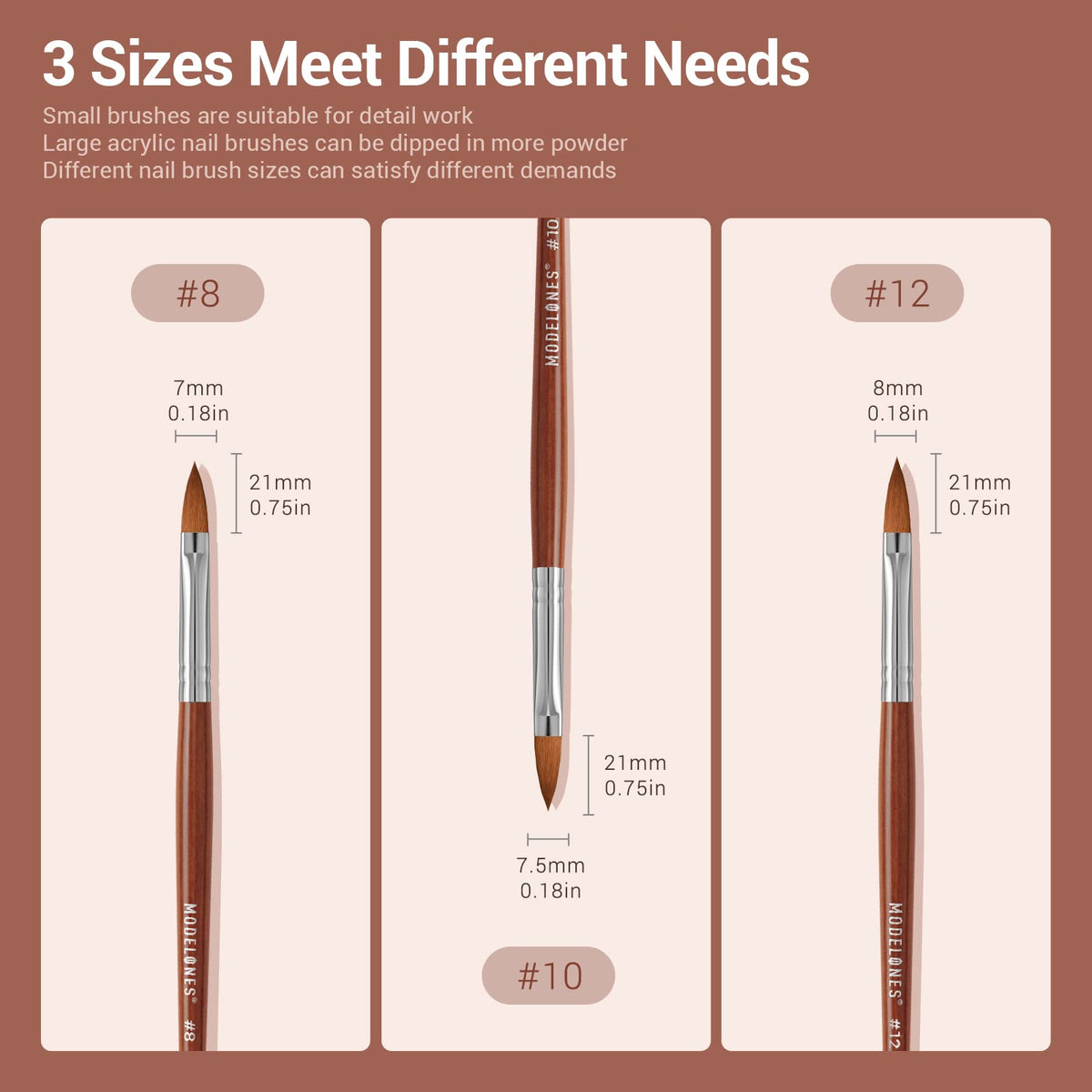 modelones size comparison of 8 10 12 round brushes for small to large coverage versatility