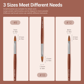 modelones size comparison of 8 10 12 round brushes for small to large coverage versatility