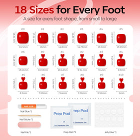 modelones organizer tray displaying 18 sizes for precise toe fitting