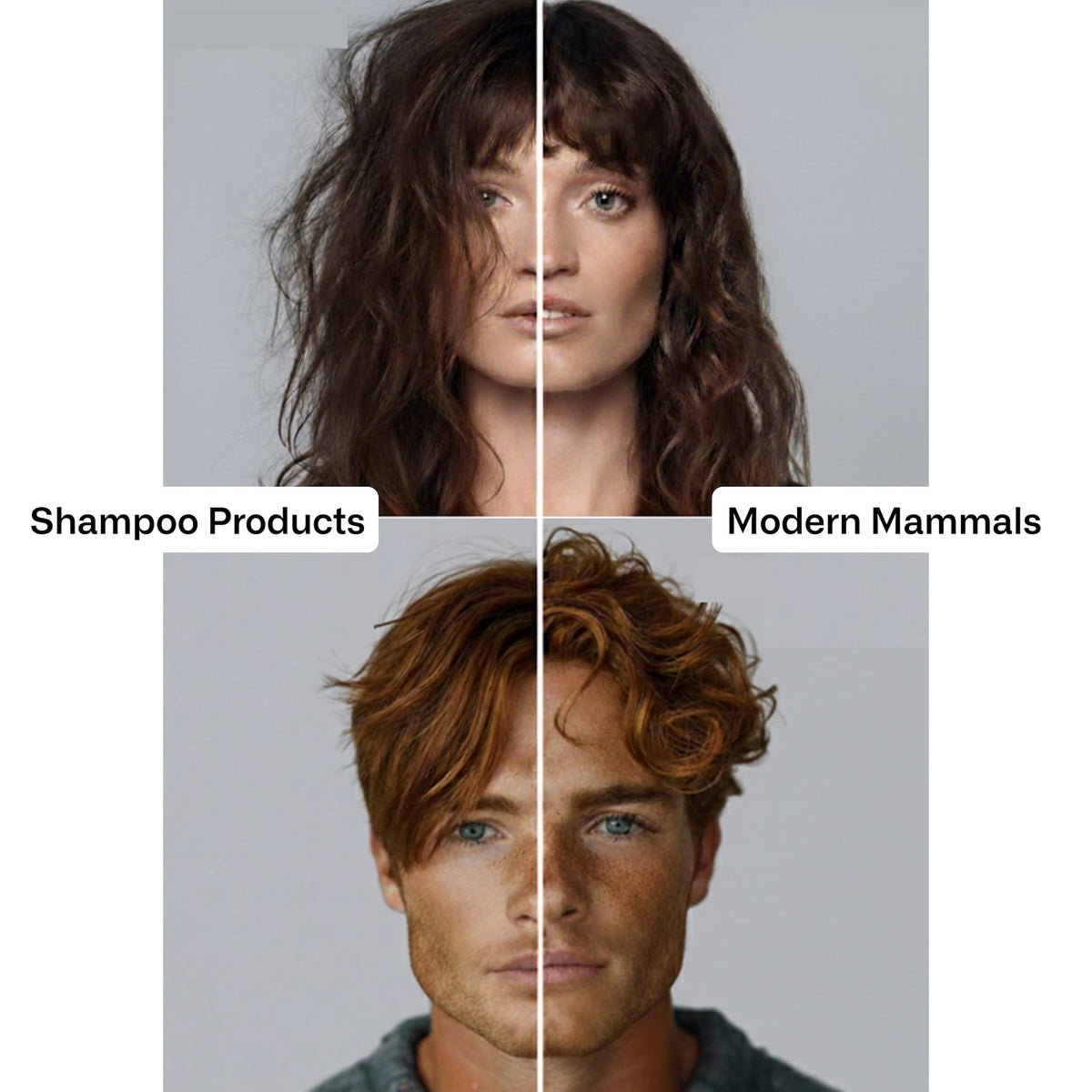 Modern Mammals being applied in shower demonstrating easy use and hydrated scalp benefit